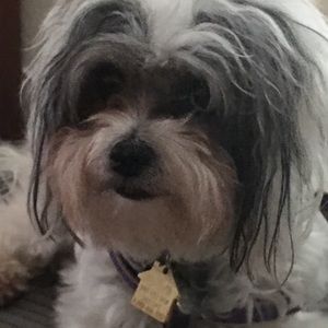 DO NOT BUY samanthaleeannp BundleMK boots&Lacoste